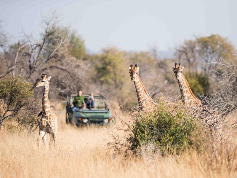 Mziki Safari Lodge Beestekraal  Exteriör bild